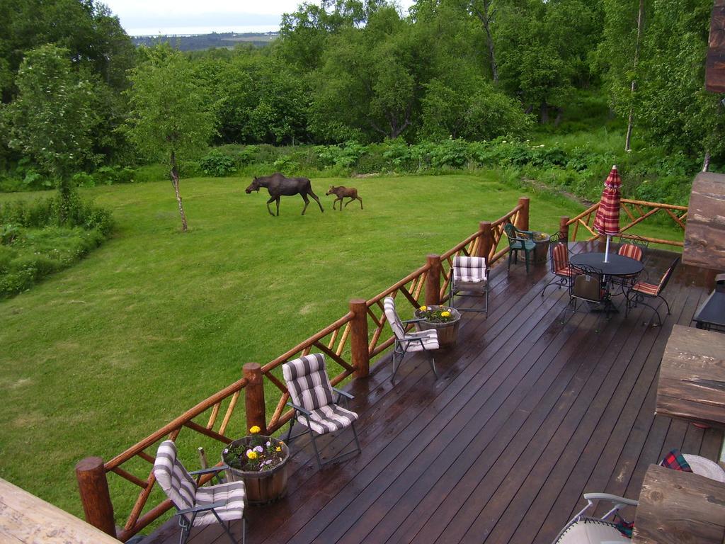 Juneberry Lodge Homer Luaran gambar
