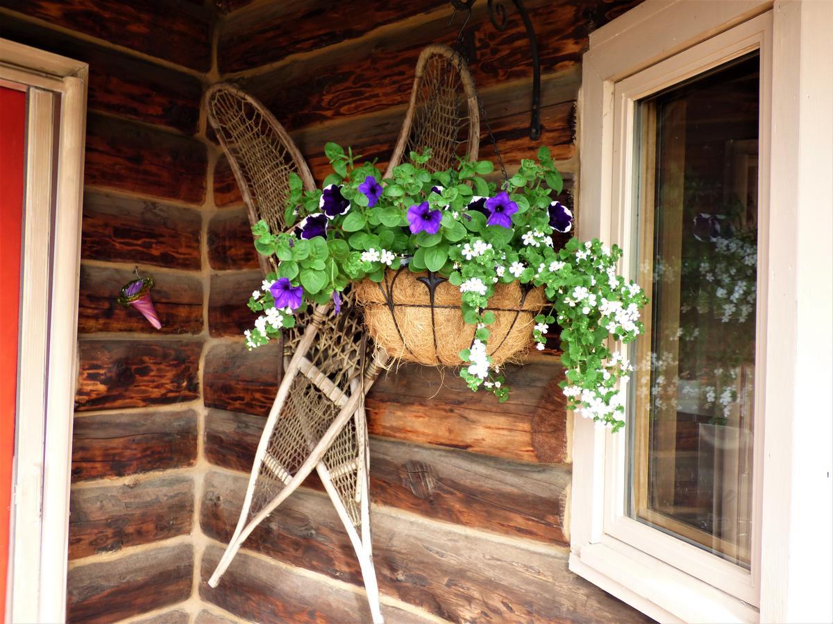 Juneberry Lodge Homer Luaran gambar