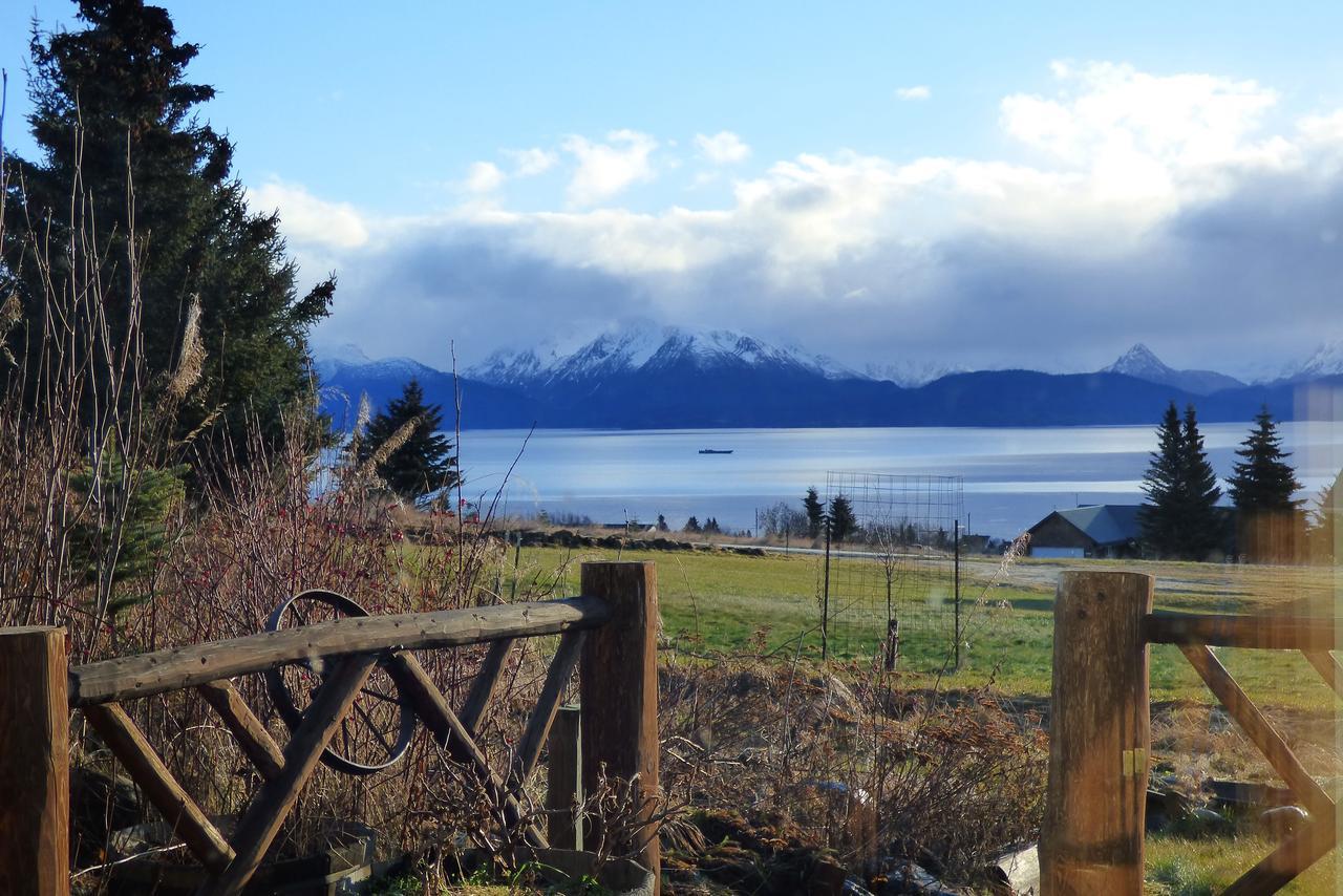 Juneberry Lodge Homer Luaran gambar